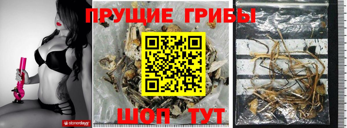 Электрогорск  Галлюциногенные грибы GOLDEN TEACHER  Вход с VPN 