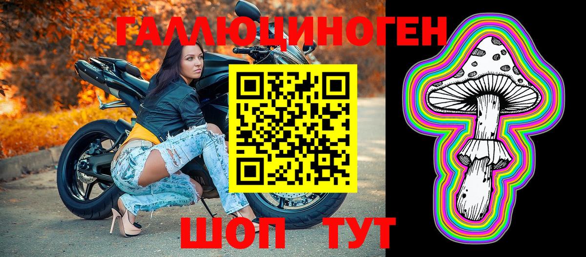 Псилоцибиновые грибы мицелий Электрогорск